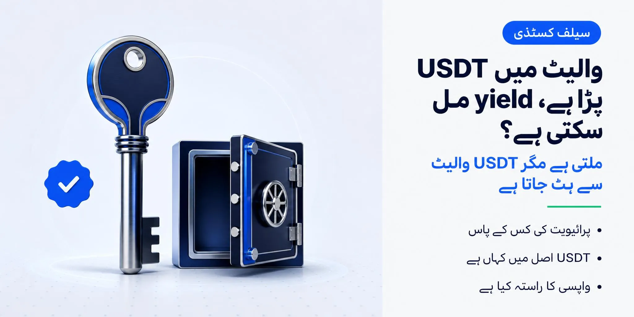 کیا Self-Custody Wallet میں USDT پر Yield مل سکتی ہے؟