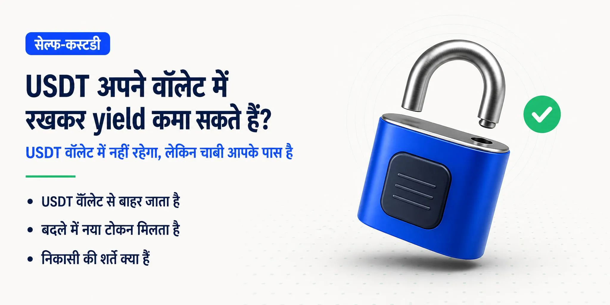 USDT को Self-Custody में Yield कमाने की पूरी गाइड